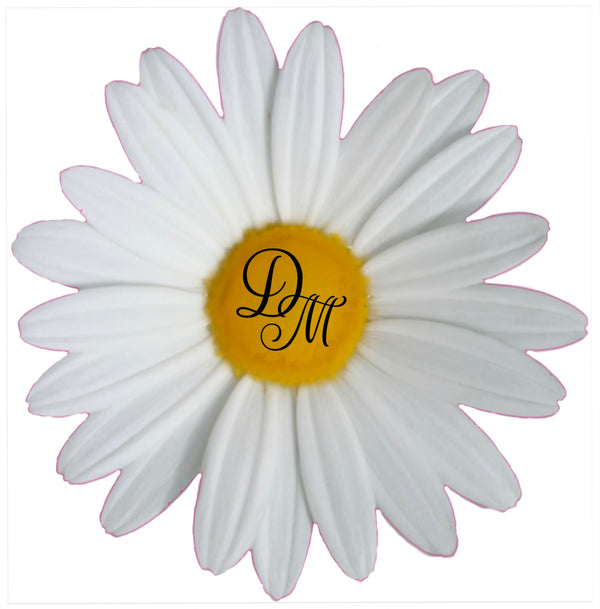 Daisies in May Boutique 